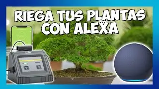 🥇 RIEGO AUTOMÁTICO WIFI ALEXA por GOTEO - 🌱 RAINPOINT 🌱