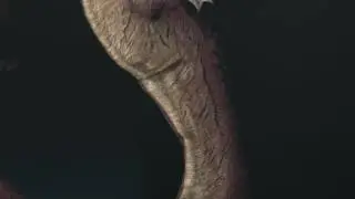 Grigori dragon vore (by Twitchyanimation)