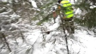 MVI_2288.MOV