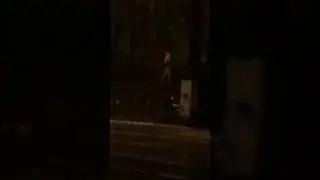 Голый мужчина лазает по оградам и деревьям на Садовой улице - 2