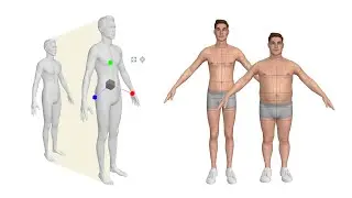 Marvelous Designer 10 New Features: Avatar Size