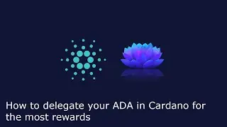 How to chose your Cardano stakepool to bring the highest returns, decentralization, and value!