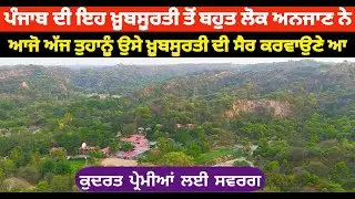 ਆਜੋ ਤੁਹਾਨੂੰ ਪੰਜਾਬ ਦੇ ਜੰਗਲਾਂ ਦੀ ਸੈਰ ਕਰਾਈਏ