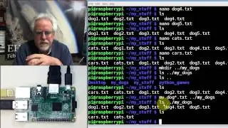 Raspberry Pi Linux LESSON 7: Using the Wildcard