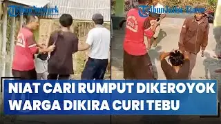 CARI RUMPUT, Remaja Asal Jember Dikeroyok Warga Dikira Curi Bibit Tebu di Lumajang