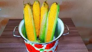 Как варить кукурузу в початках в кастрюле ? Рецепт приготовления кукурузы