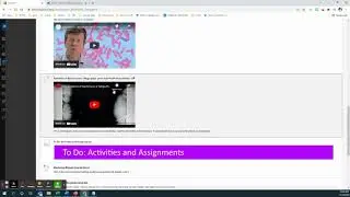 Walk through Unity Evolution II