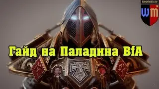 Ретри Паладин PvP и PvE Гайд BfA