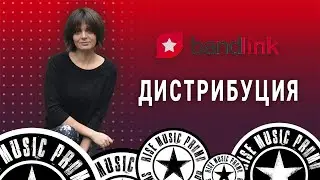 Bandlink. Дистрибуция (2021)