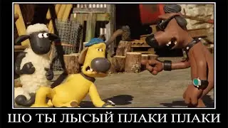 Муд Барашек Шон демотиватор (Плохой пёс)