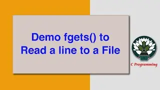 Demo fgets() to Read a line to a File