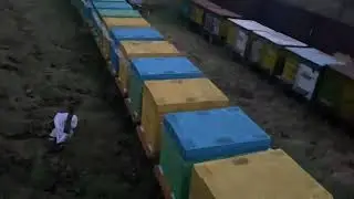 Сколько зарабатывает матковод!
