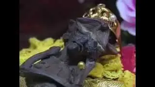 Мумии инопланетян в тибетском храме  Сенсация!
