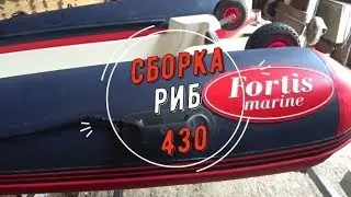 Сборка RIB Fortis 430