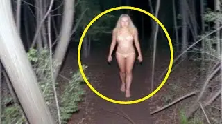 YOU WON'T BELIEVE IT! A CAMERA IN THE FOREST CAPTURED SOMETHING NO ONE EXPECTED TO SEE...