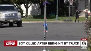 10-year-old boy hit, killed while biking in Davis County