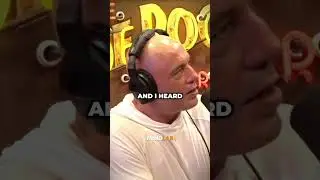 Joe Rogan Tells Crazy Rat Story🤯