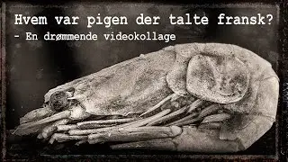 Surrealistisk kortfilm ▶ Hvem var pigen der talte fransk? ▶ En reje og et tog