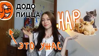 Правда о работе в ДОДО ПИЦЦЕ/ мой опыт в общепите