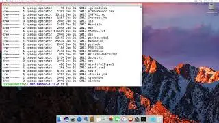 The ls (list directory) command