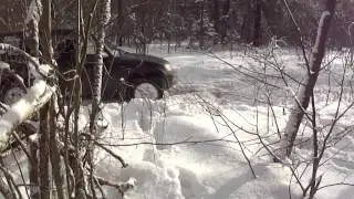 7.02.15. церкви и усадьбы Калужской области 9
