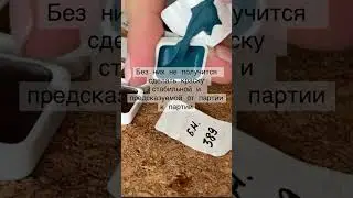Почему акварель не застывает в кювете и блестит?