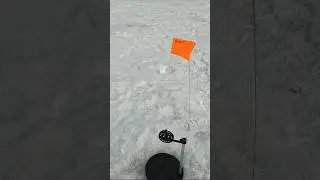 ОТЛИЧНАЯ ЩУКА, УВИДЕЛ ЕЁ В ПОДВОДНУЮ КАМЕРУ #shorts #shortsvideo