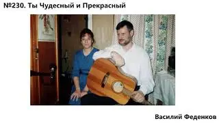 №230 Ты чудесный и прекрасный - христианские песни | Василий Феденков
