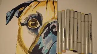 Как нарисовать мопса маркерами? How do I draw a pug with markers?