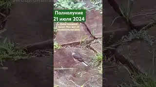На моем ТГ канале, много техник и практик как работать с эмоциями👌