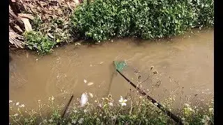 Electric Fishing 20181030 #1 with GoPro Hero 7 Black