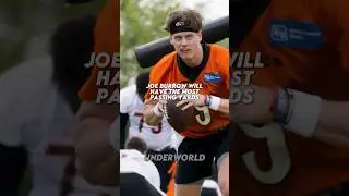 Speaking Fax Until The Bengals Win The Super Bowl