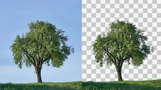 The EASY Changing Background in PicsArt Mobile - Editing Tutorial | Deny King