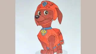 Как нарисовать Зума из Щенячьего патруля