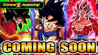 NEXT DOKKANFEST + HEROES COLLAB REVEALED! Kid Goku & Limit Breaker SSJ4 Vegito Are Coming! (Dokkan)