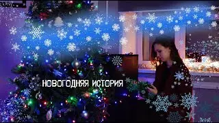 НОВОГОДНЯЯ ИСТОРИЯ (С Новым 2024 годом!)