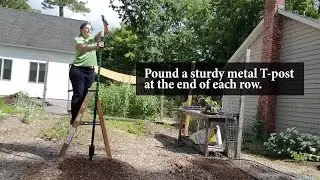 Four Ways to Stake Tomatoes- Better Sound Quality