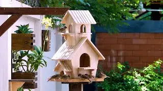 Build a wooden bird house and bird feeder