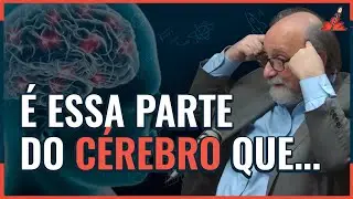 COMO FUNCIONA a MEMÓRIA?