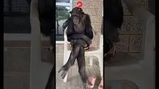 Это что ж, ещё и работать надо?