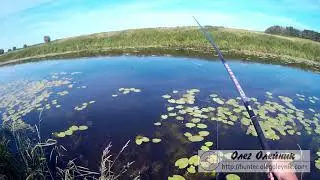 У всех не клюет а у меня клюет  Моя рыбалка на карася
