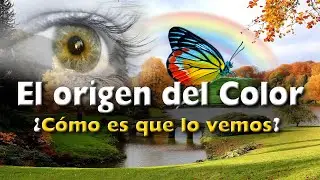 ¿Por qué vemos los Colores?