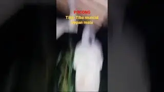 tiba2 ada di depanku❗❗