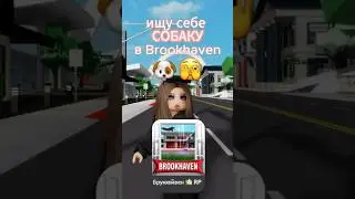 ищу себе собаку в Brookhaven 