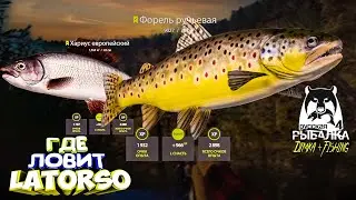 Русская рыбалка 4.🎣🦈 р. Белая 🎣 ГДЕ ЛОВИТ LATORSO 👀