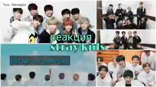 [Реакция stray kids] Когда он ревнует|| TN