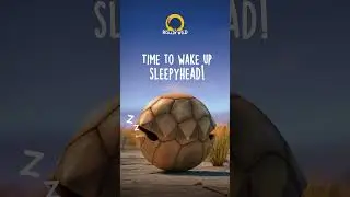 Zzzzzz.. The roll goes on, stay tuned for more! 