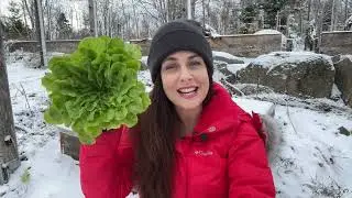 Growing Cold-Frame Crops • with Niki Jabbour & Johnny's Selected Seeds