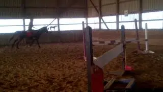 horse jumping wife