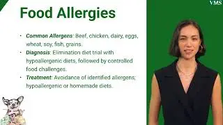 Food Reactions in Pets  Allergies vs  Intolerances